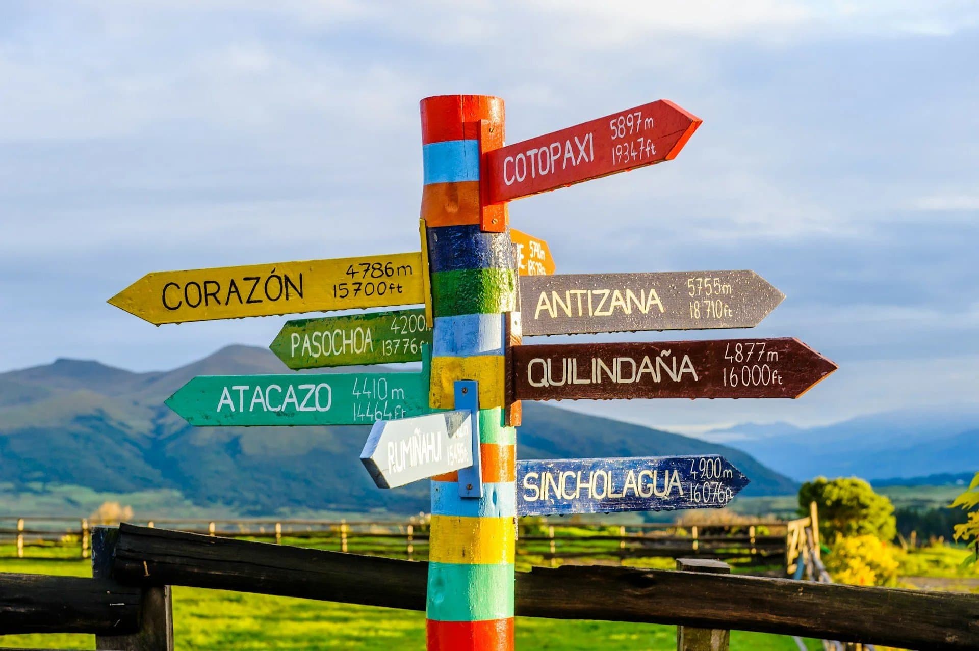 Why Slow Decision-Making is a Killer for Big Projects